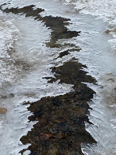 Miniskolka_Pivonka (13).jpg