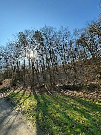 Miniskolka_Pivonka (18).jpg