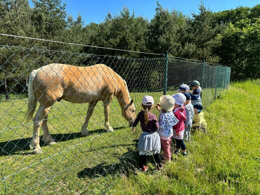 Miniskolka_Pivonka (27).jpg