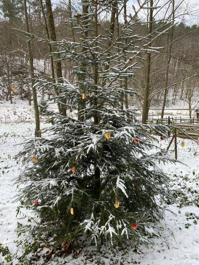 Miniskolka_Pivonka (62).jpg