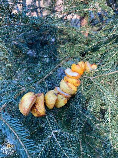 Miniskolka_Pivonka (64).jpg