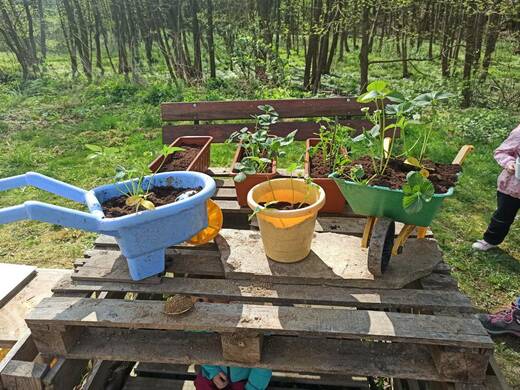 Miniskolka_Pivonka (66).jpg